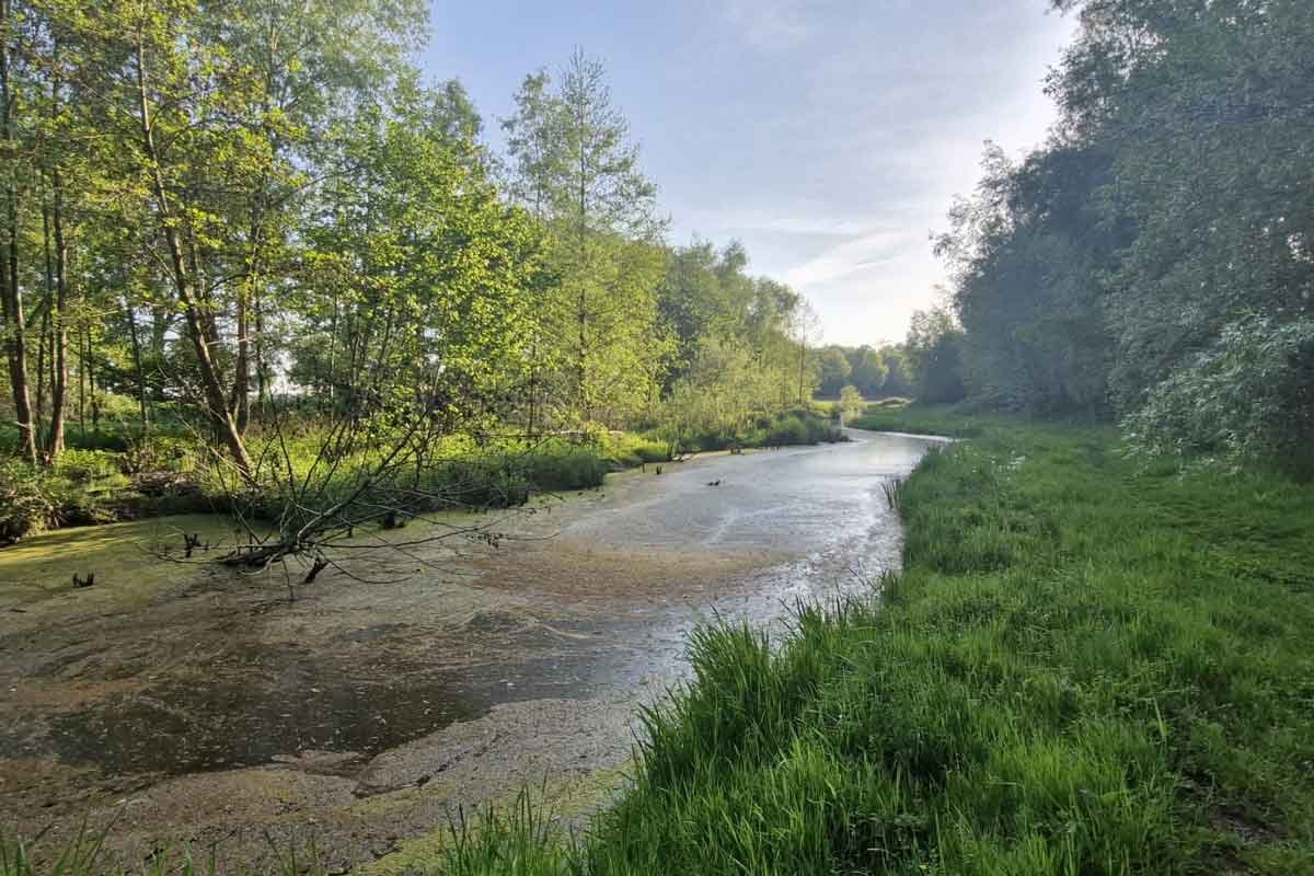 Petranpad Ultra Trail 112k / 64k Logo