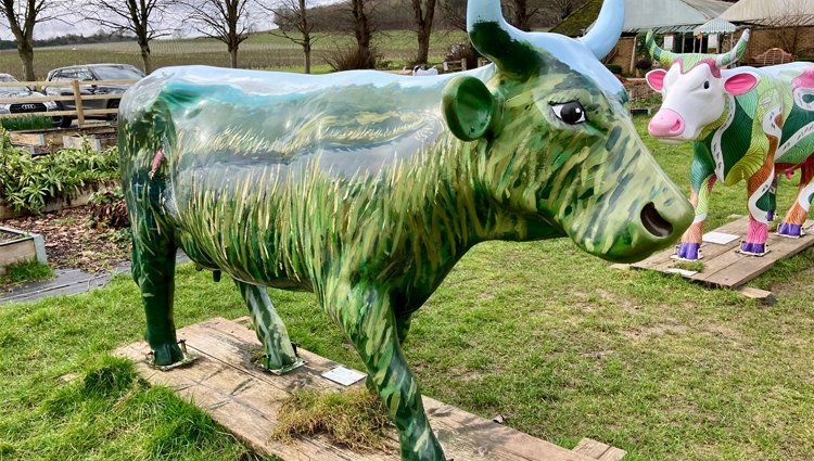 PHOENIX - The Painted Cow Run 2026 Logo