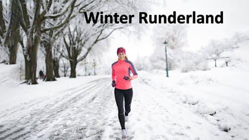 PHOENIX - Winter Runderland Logo