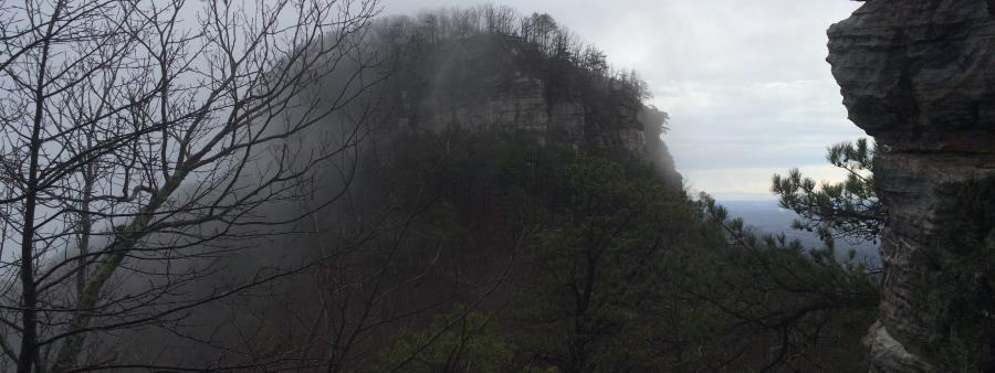 Pilot Mountain Goat Logo