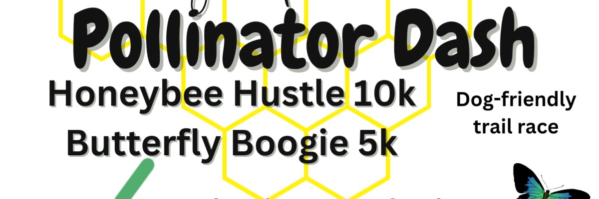Pollinator Dash Logo
