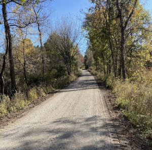 Polly Ann Trail Run/Walk 2026 Logo