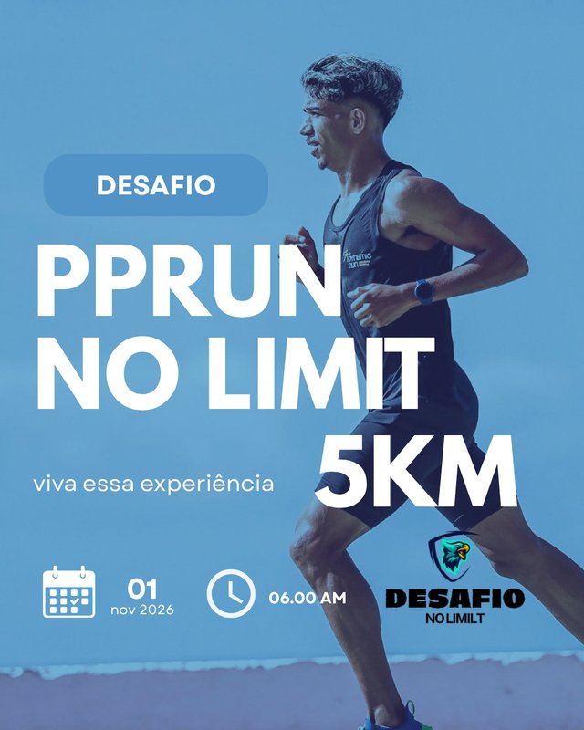 Pprun NO LIMITS Logo