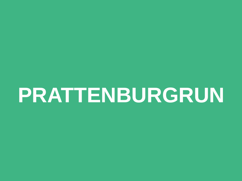 PrattenburgRun