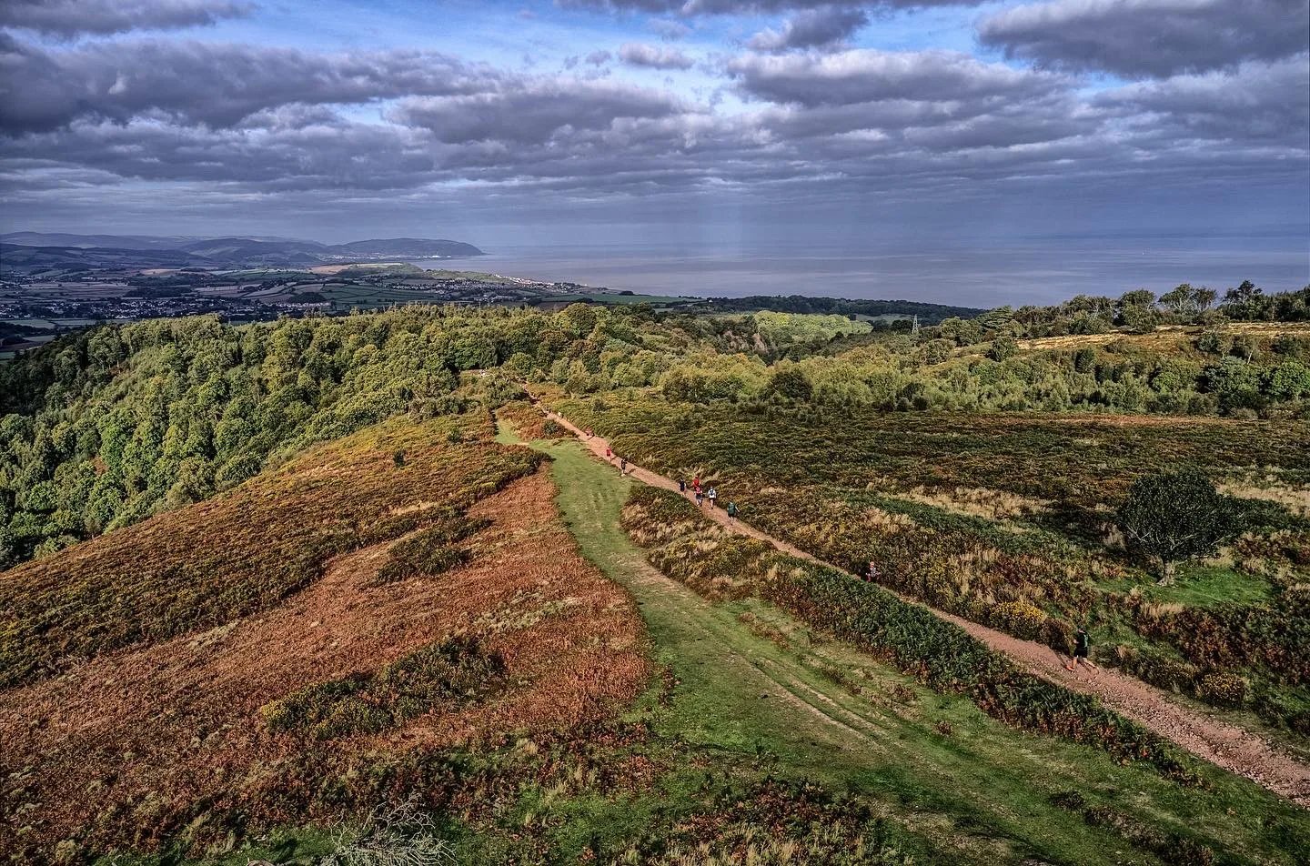 Quantock Hills Trail Half Marathon Logo