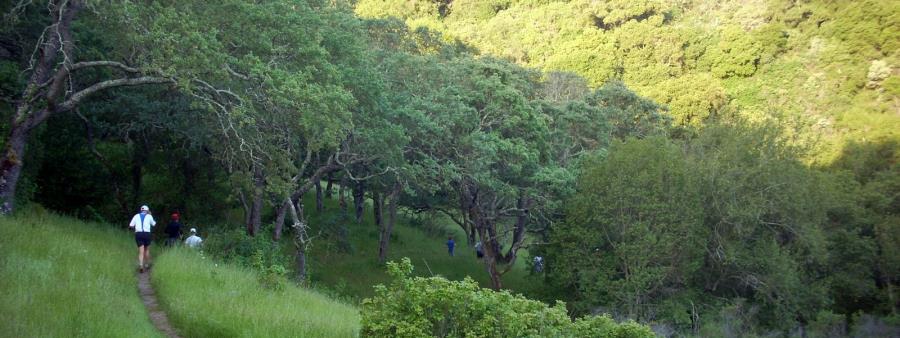 Quicksilver Trail Challenge
