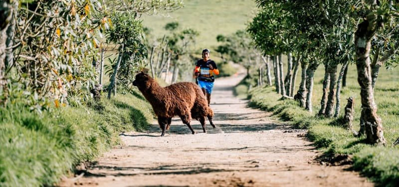 Quito Trail by UTMB -  20K Quinde Logo