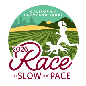 Race To Slow The Pace