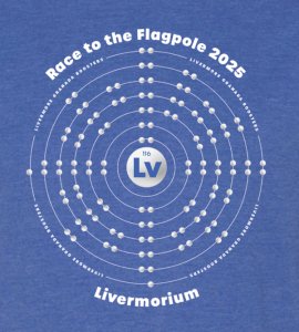 Race to the Flagpole