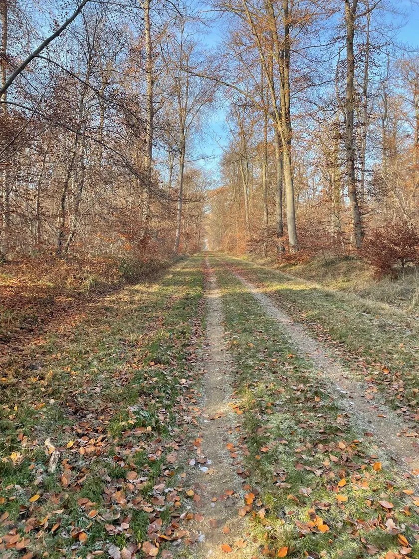 RANDO MONTAGNE DE GURY 12KM