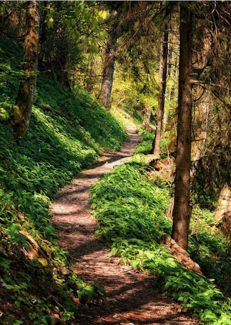 Rando-trail de la Roc N Run