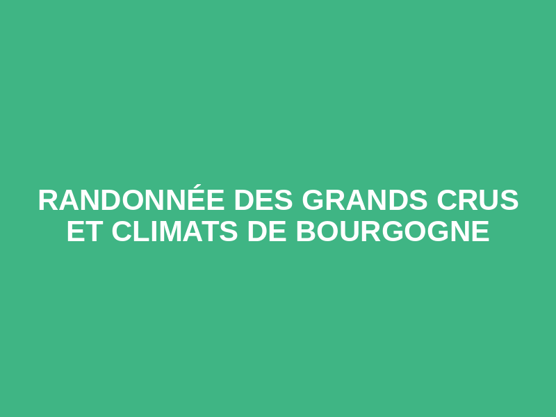 Randonnée des Grands Crus et Climats de Bourgogne