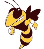 RED WHITE AND BOOM 5K COLOR RUN Logo