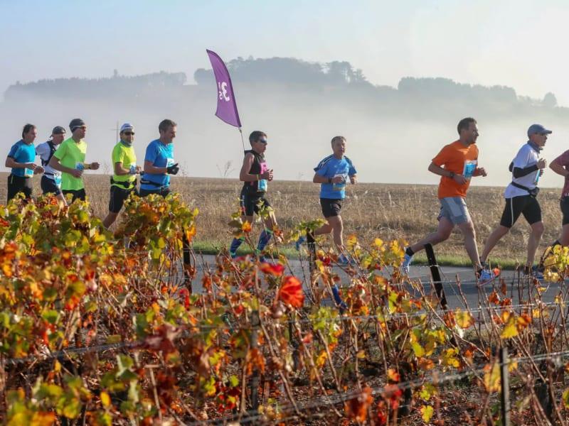 Reims Champagne Run