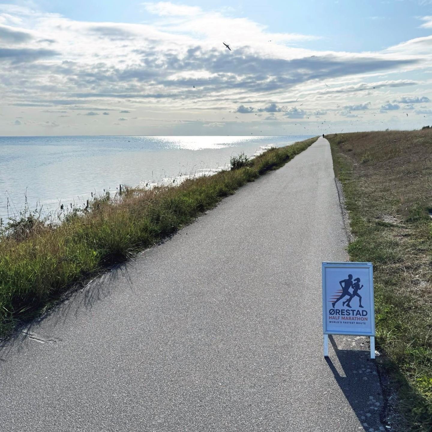 Ørestad Half Marathon - Copenhagen World Championship Warm-Up with One Mile - 5K - 10K