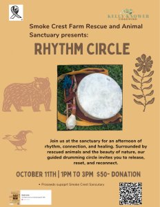Rhythm Circle