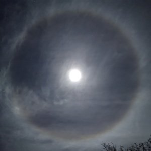 Roy Gap Fun Run Logo