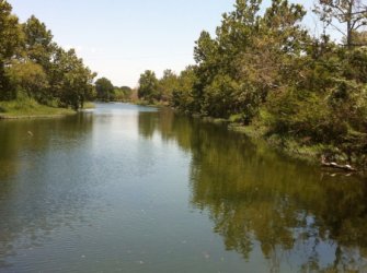 Run by the Creek