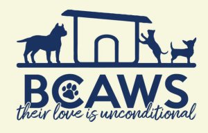 Run for BCAWS! Logo
