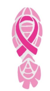 Run for the Cure Logo