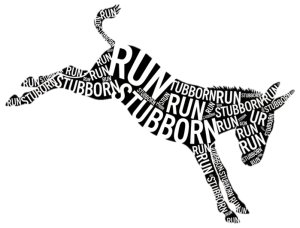 Run Stubborn 25k and 50k Logo