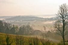 Run The Rolling Hills Trail Race Logo