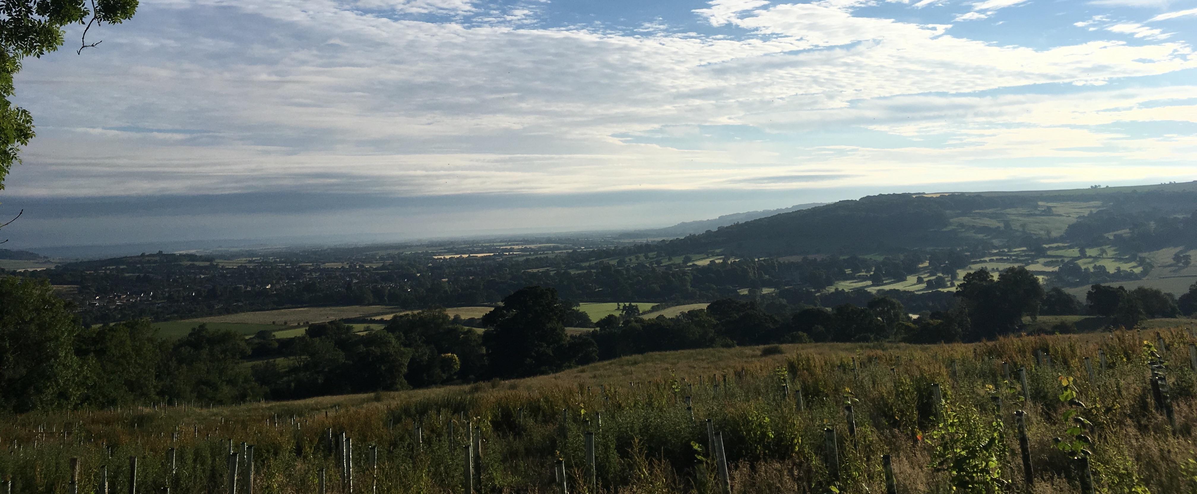 Run Winchcombe 2026 Logo