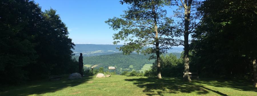 Run with a View V