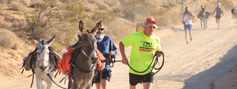 Run with the Burros Logo