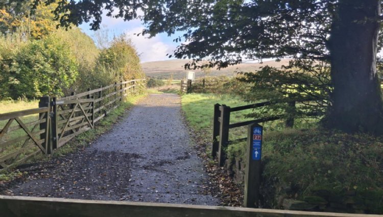 Running Events Devon - Steam Challenge 2026