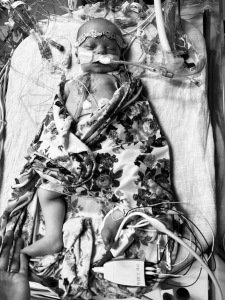 Running for Elsie's Heart