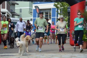 Running of the Bears 5K Logo