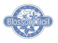 Sanger Blossom Trail Run