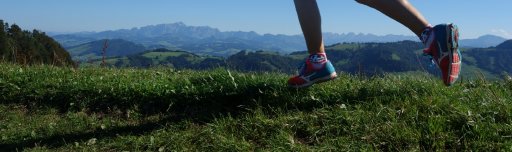 Schnebelhorn-Panoramatrail Mosnang