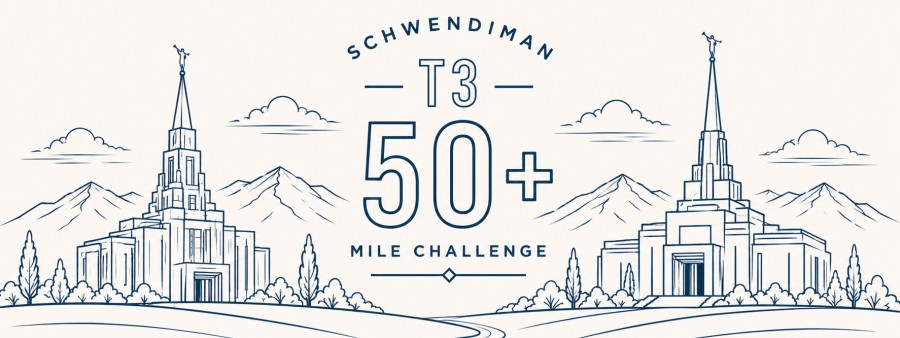 Schwendiman T3 50 Logo