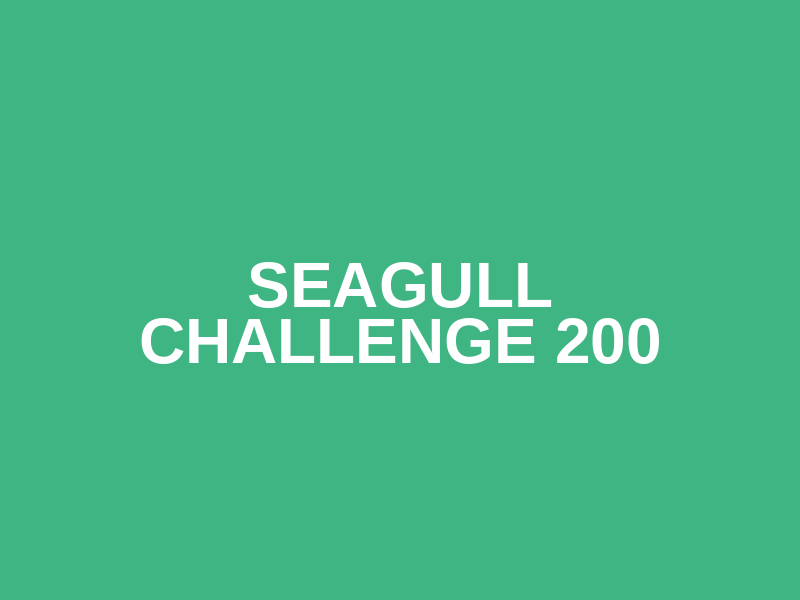 Seagull Challenge 200 Logo