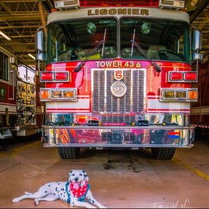 Set Your Year On Fire 5k January 4th 2026 10am