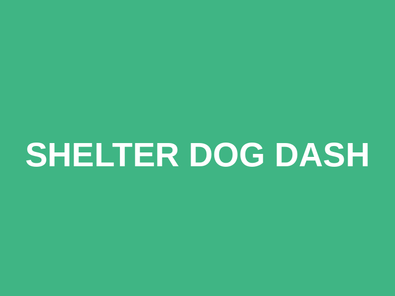 Shelter Dog Dash