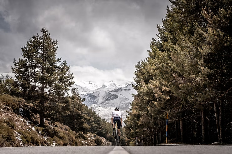 Sierra Nevada Limit