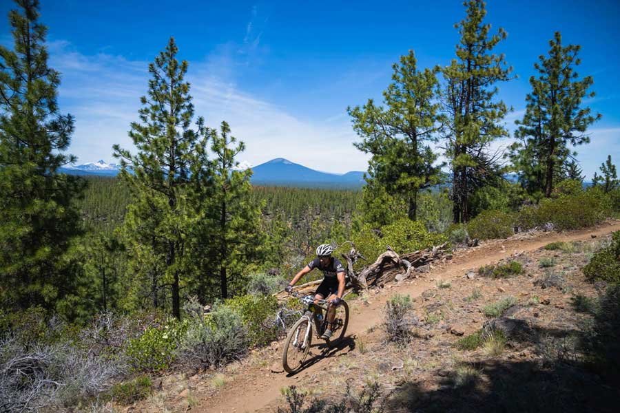 Sisters Stampede Logo