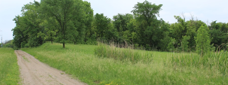 Sisu Backyard Ultra at Lake Rebecca Logo