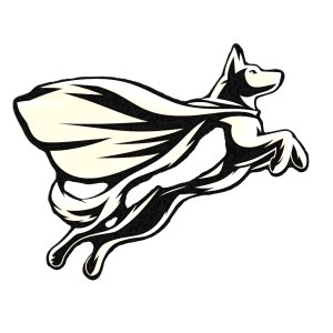 Skagit County K9 Heroes Fund - Muddy Paws!  Fun Run/Walk 2.1 mi, 5k, 10k