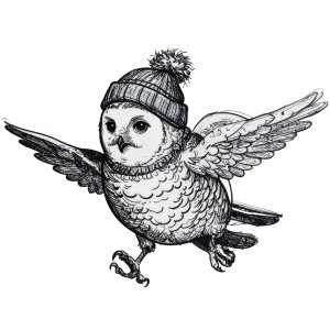 Snowy Owl Trail Race Logo