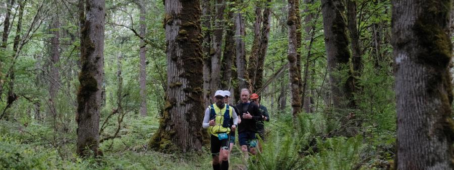 Soaring Eagle Trail Run Logo