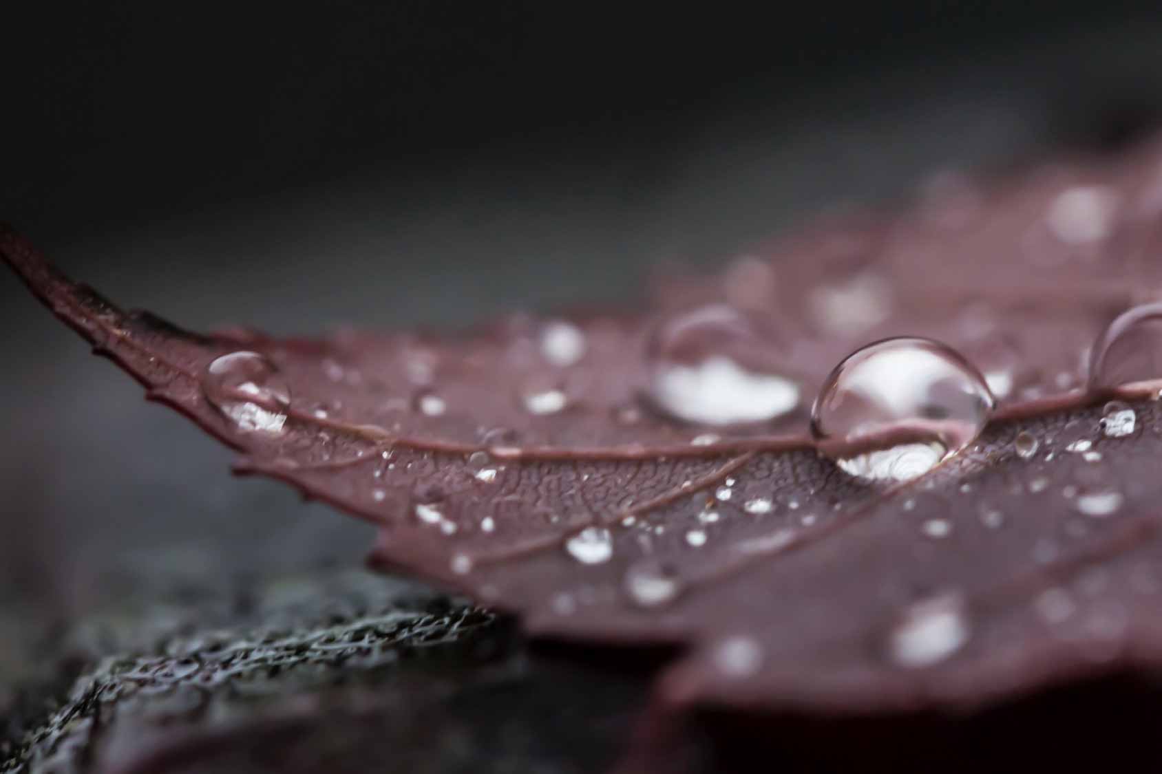 Sobaeksan Mountain Trail Run (Jukryeong to Kochiryeong)