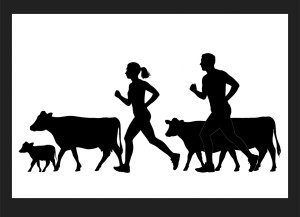 Soil Mates Trail Race