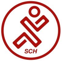 South Cheshire 20 Logo