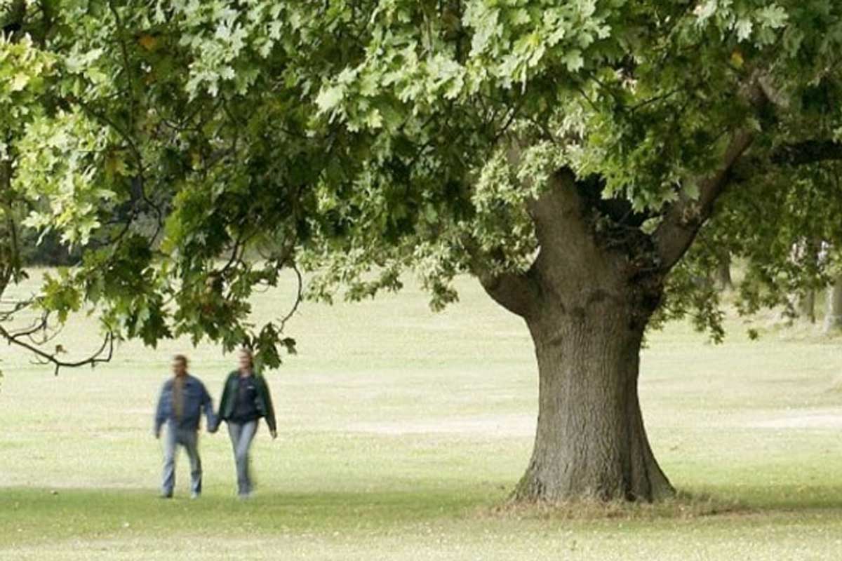 Southampton Common 10K