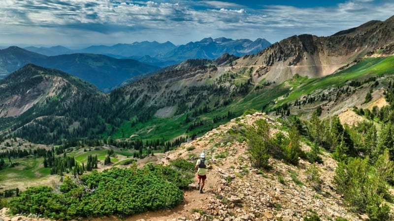 Speedgoat Mountain Races by UTMB - The Summit Logo