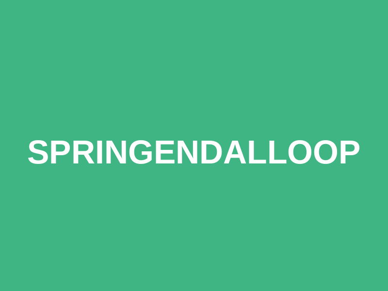 Springendalloop Logo